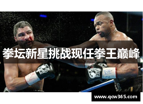 拳坛新星挑战现任拳王巅峰